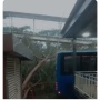 Hujan Deras Lumpuhkan Tiga Koridor Transjakarta, Rute Dialihkan karena Pohon Tumbang