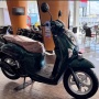 Plus Minus Pinang Honda Scoopy di 2026, Kenapa Skutik Ini Tetap Jadi Favorit Pengendara Wanita?
