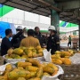 350 Kios Hangus, Pengelola Pasar Kramat Jati Siapkan Relokasi Sementara Lewat Sistem Undian