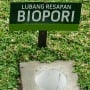 Dari Lubang Kecil Bernama Biopori, Kita Belajar Mengurai Genangan Saat Hujan Turun