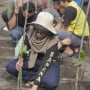 Saat Sketsa dan Tulisan Berubah Jadi Aksi Menjaga Mangrove di Pantai Baros