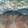 Gelombang Panas Laut Makin Sering Terjadi, Apa Dampaknya bagi Ekosistem dan Masyarakat Pesisir?