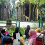 Libur Tahun Baru 2026, Pengunjung Ragunan Diprediksi Tembus 100 Ribu Orang