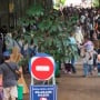 Ragunan 'Meledak' di Tahun Baru, Pengunjung Tembus 113 Ribu Orang Sehari