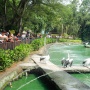 Pramono Sebut Kebun Binatang Ragunan Bakal Tutup Saat Hari Pertama Lebaran, Buka Kembali Lusa