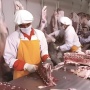 Isu BEEF Dicaplok Raksasa Korea Selatan, Efek Program MBG?