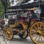 Malioboro Ramai saat Libur Nataru Tapi Pendapatan Sopir Andong Jauh Menurun dari Sebelum Covid