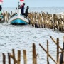 Pemilik Pagar Laut Tangerang yang Ramai Dibahas Pandji Pragiwaksono