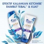 5 Rekomendasi Sampo yang Cocok untuk Rambut Rontok dan Berketombe