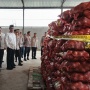 Amran Desak Pengusutan Tuntas Penyelundupan Bawang Bombay di Semarang