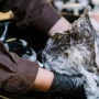 5 Sampo Jepang untuk Atasi Rambut Rontok dan Uban Usia 40 Tahun ke Atas