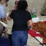 Tragis! Banjir Cilincing Telan 3 Korban Jiwa, Anak Temukan Ayah-Ibunya Tewas Tersengat Listrik