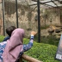Penutupan Berkepanjangan Bandung Zoo Dinilai Picu Kebocoran PAD dan Praktik Tak Resmi