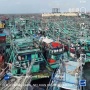 Ribuan Kapal Bersandar di Muara Angke, Dinas KPKP DKI Buka Suara