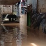 Sejumlah Wilayah Jakarta Dikepung Banjir Buntut Hujan Deras yang Mengguyur Sejak Sore Hari