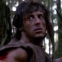 Noah Centineo Ambil Peran Ikonik Sylvester Stallone di Prekuel John Rambo