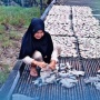 Pendampingan PNM Dirasakan Langsung oleh Perempuan Pesisir Kaltim