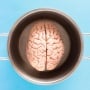 Mengapa Peringkat IQ Bukan Tolok Ukur Utama Kesuksesan Bangsa?