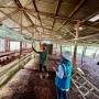 Lebih dari 390 Ribu Pelanggan Manfaatkan Program Electrifying Agriculture & Marine PLN hingga 2025