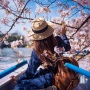 Spring Readiness 2026: Jepang, Korea, dan China Jadi Destinasi Favorit Musim Semi Asia