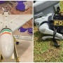 Bikin Gempar vs Gentar: Adu Fitur Drone Iran Rp300 Juta Lawan Robot Anjing Polri Rp3 Miliar