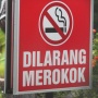 Kenapa Rokok Diizinkan Beredar Meski Berbahaya? Memahami Logika Regulasi