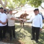 Presiden Prabowo Penuhi Permintaan Warga Aceh, Salurkan Bantuan Daging Meugang Sambut Idulfitri