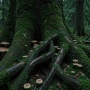 Bukan Hanya Pepohonan, Tanah Hutan Tua Ternyata Penyimpan Karbon Terbesar di Bumi