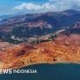 Setahun Prabowo: Deforestasi Melonjak, Potensi 'Juara Dunia' Hutan Gundul