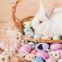 Kenapa Paskah Identik dengan Telur dan Kelinci? Begini Asal-Usulnya