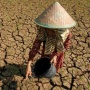 Kenalan sama Godzilla El Nino, Fenomena Iklim Dampaknya Sampai Indonesia?