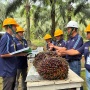 Tak Asal Tanam, Petani Sawit Mulai 'Melek' Gunakan Metode Ilmiah