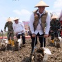 Perkuat Produksi Jagung Nasional, BULOG Dorong Panen dan Tanam Serentak di Blora
