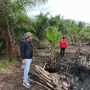 Bakar 500 Hektare Lahan Gambut Riau demi Kebun, Pria di Pelalawan Diciduk Polisi