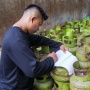 Ketergantungan Impor LPG RI Makin Dalam, Tembus 83,97% di 2026