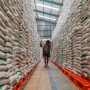 Pemerintah Jamin Stok Beras Aman, Cadangan Capai 4,5 Juta Ton