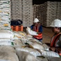 Harga Pangan Hari Ini: Bawang hingga Cabai Merah Naik, Beras Premium Masih Bertahan Tinggi