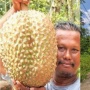 Pesta Durian 8 Kilo di Sibolangit: Rahasia Sambutan Hangat Adat Karo untuk Sang Kalimbubu
