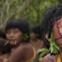 Terusir dari Rumah Sendiri, Kisah Suku Yanomami yang Tinggal di Paris Hutan Amazon