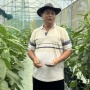 Kisah Pengusaha Sulap Lahan Terbatas Jadi Kebun Paprika Premium dengan Dukungan KUR BRI