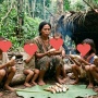 Kisah Irma dan Lima Anaknya: Hidup Terkatung-katung di Rimba Kalimantan, Cuma Makan Ubi Kayu