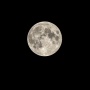 Jam Berapa Flower Moon di Indonesia? Ini Waktu Terbaik Melihatnya