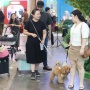 Ada Petting Zoo dan Safari Garden di PetFest Indonesia 2026