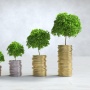 5 Investasi yang Aman untuk Anak Muda dan Pemula, Minim Risiko