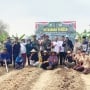 Dukung Asta Cita Prabowo, TNI dan Masyarakat Tanami Jagung Lahan 2 Hektare di Cibeber