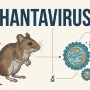 6 Fakta Penting Hantavirus, Virus Menular yang Mewabah di Kapal Pesiar Mewah