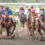 IHR: Perebutan Piala Raja Mangkunegaran dan Laga Krusial Triple Crown di Tegalwaton