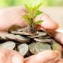 Ini 5 Investasi Aman yang Cocok untuk Pemula, Modal Mulai Rp10 Ribuan Saja!
