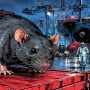 Hantavirus: Antara Risiko Global di MV Hondius dan Kesiagaan di Pintu Masuk Indonesia