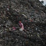 Ironi Tumpukan Sampah Makanan di Negeri yang Kelaparan